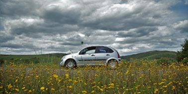 car-in-field